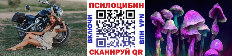 где найти   Юрюзань  Галлюциногенные грибы мицелий 